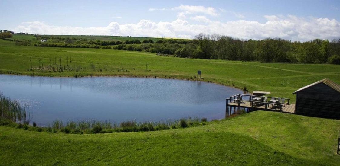 The Bay, Filey, Moonshine Cottage Εξωτερικό φωτογραφία