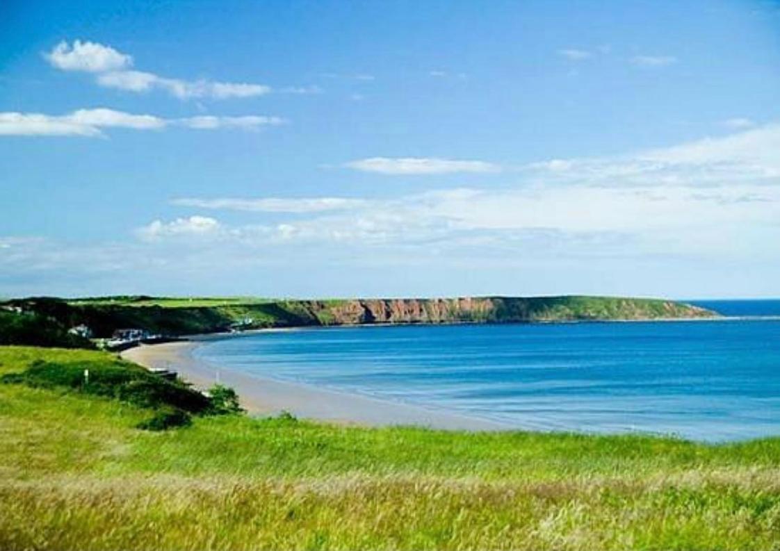 The Bay, Filey, Moonshine Cottage Εξωτερικό φωτογραφία